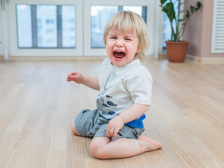 Ребенок манипулирует криком 2 года